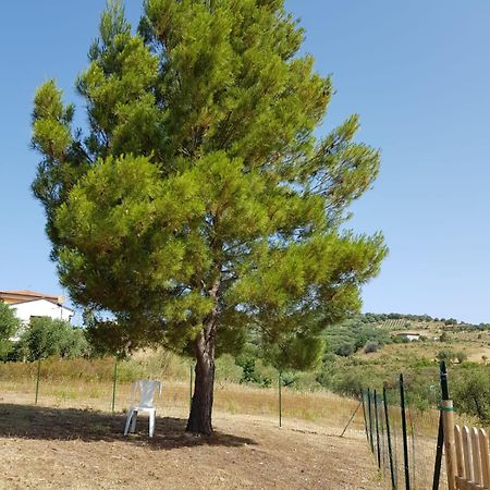 אשאה Villetta Nel Verde מראה חיצוני תמונה