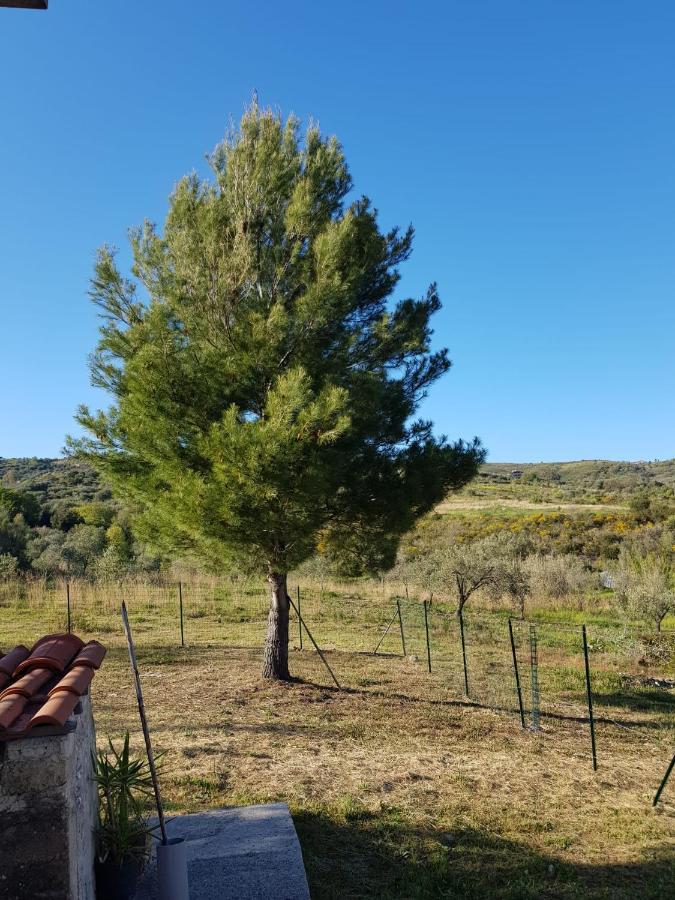 אשאה Villetta Nel Verde מראה חיצוני תמונה