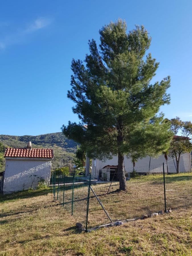 אשאה Villetta Nel Verde מראה חיצוני תמונה